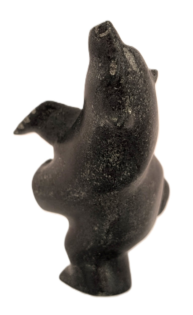 "Dancing Bear" - Killiktee Killiktee