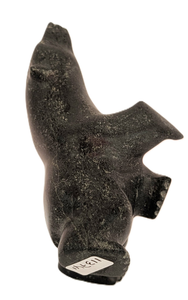 "Dancing Bear" - Killiktee Killiktee