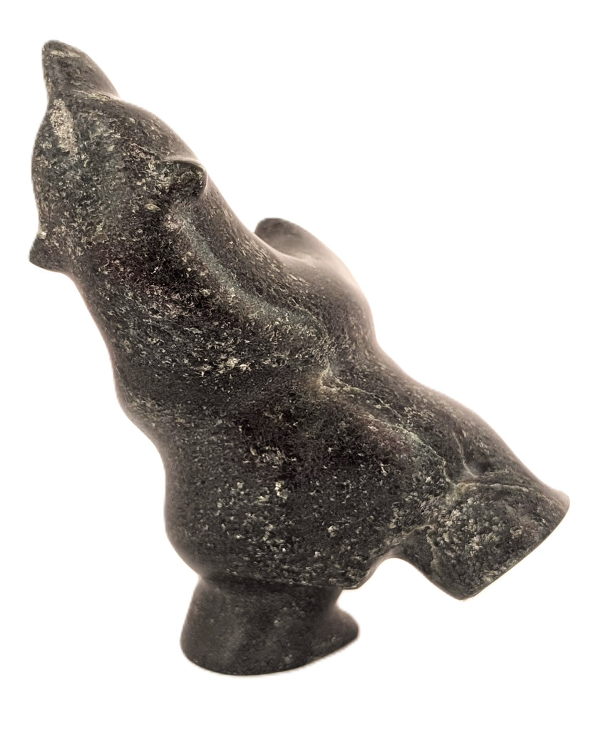 "Dancing Bear" - Killiktee Killiktee