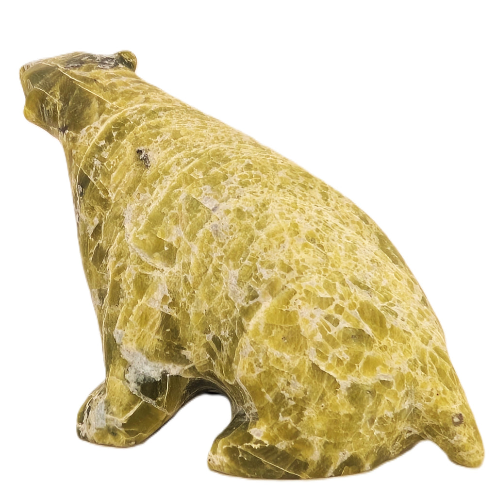 "Sitting Bear" - Parr Parr