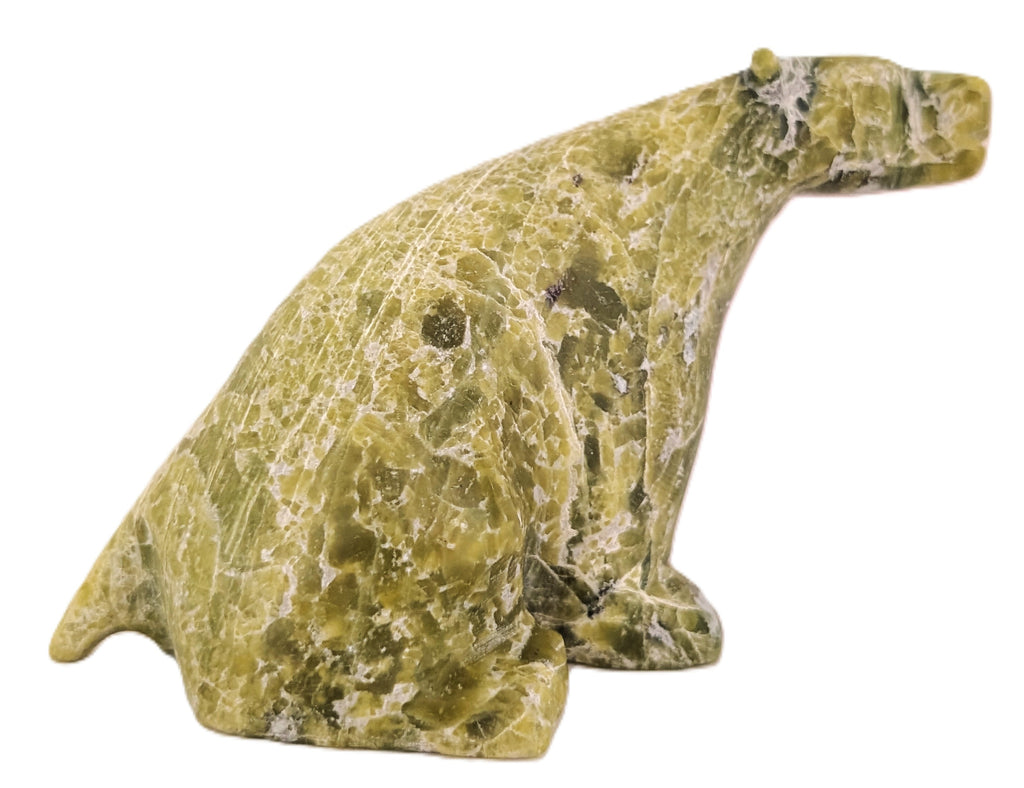 "Sitting Bear" - Parr Parr