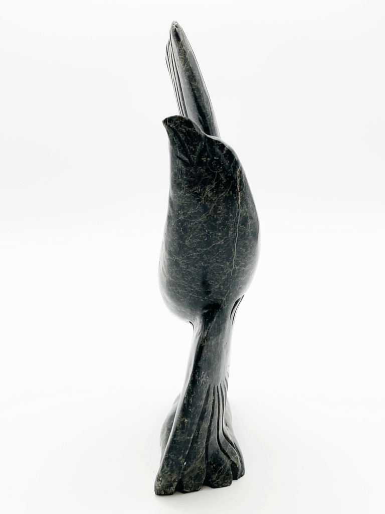 A black owl stands with wings pointing straight up, as if about to take off into flight. This image shows the eagle head on, detailing its beak and balancing.