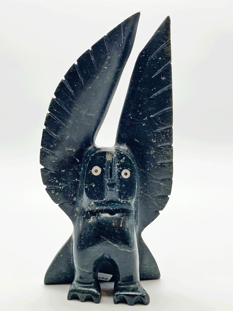 A black owl stands with wings pointing straight up, as if about to take off into flight.