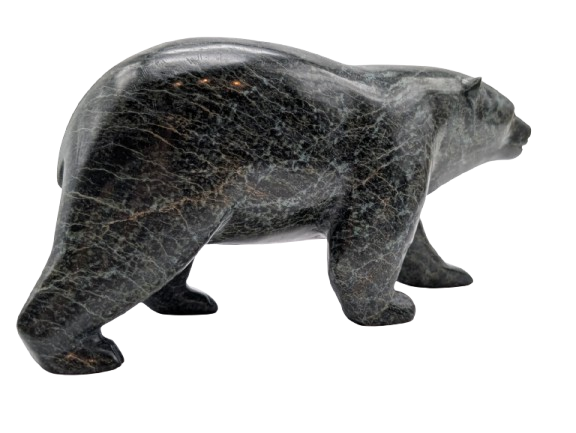 "Walking Bear" - Noah Jaw