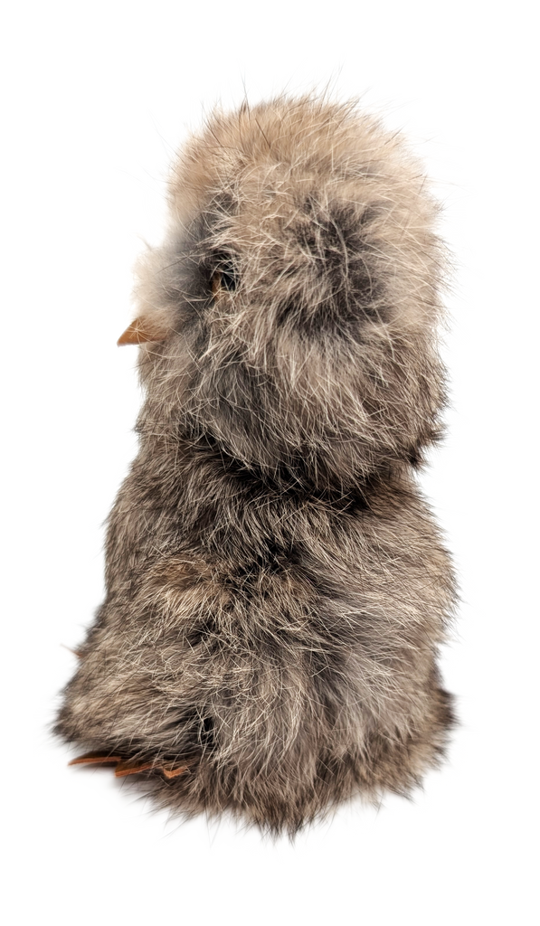 Brown Sealskin Ookpik (Owl) - Daisy Savard