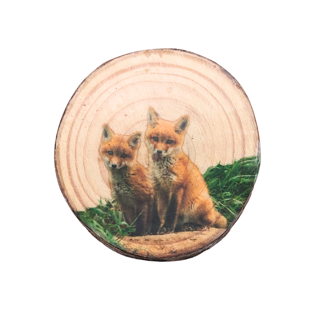 A circular slice of wood, featuring the tree's natural rings and bark, with a shiny outer coating. Two seated orange foxes are depicted, with green grass behind them.