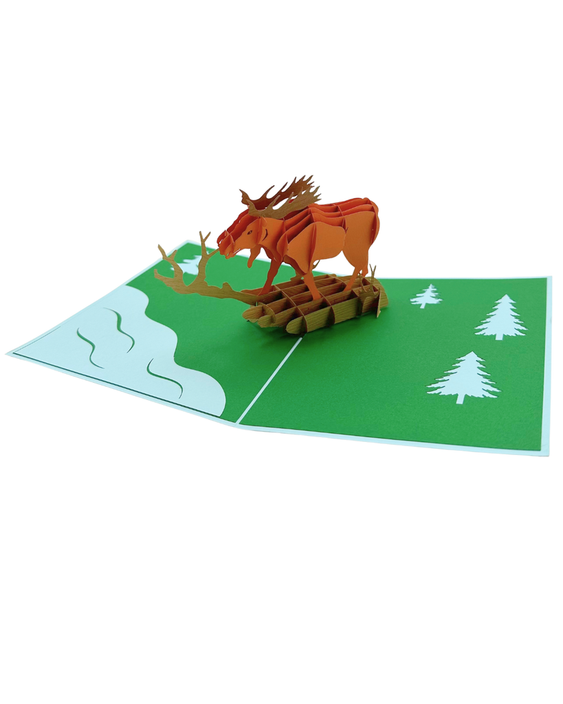 Moose 3D Pop-Up Art Card