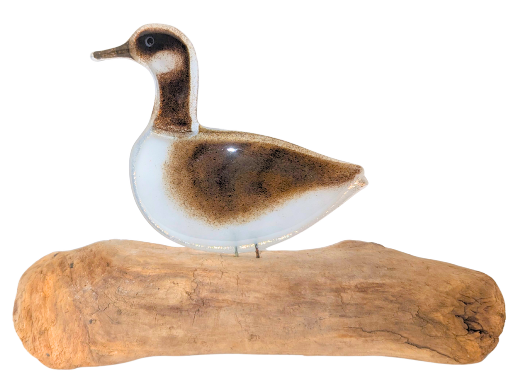 Canadian Goose
