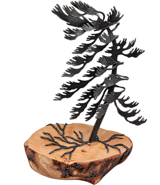 Windswept Pine & Wood Sculpture