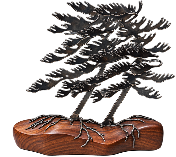 Windswept Pine & Wood Sculpture