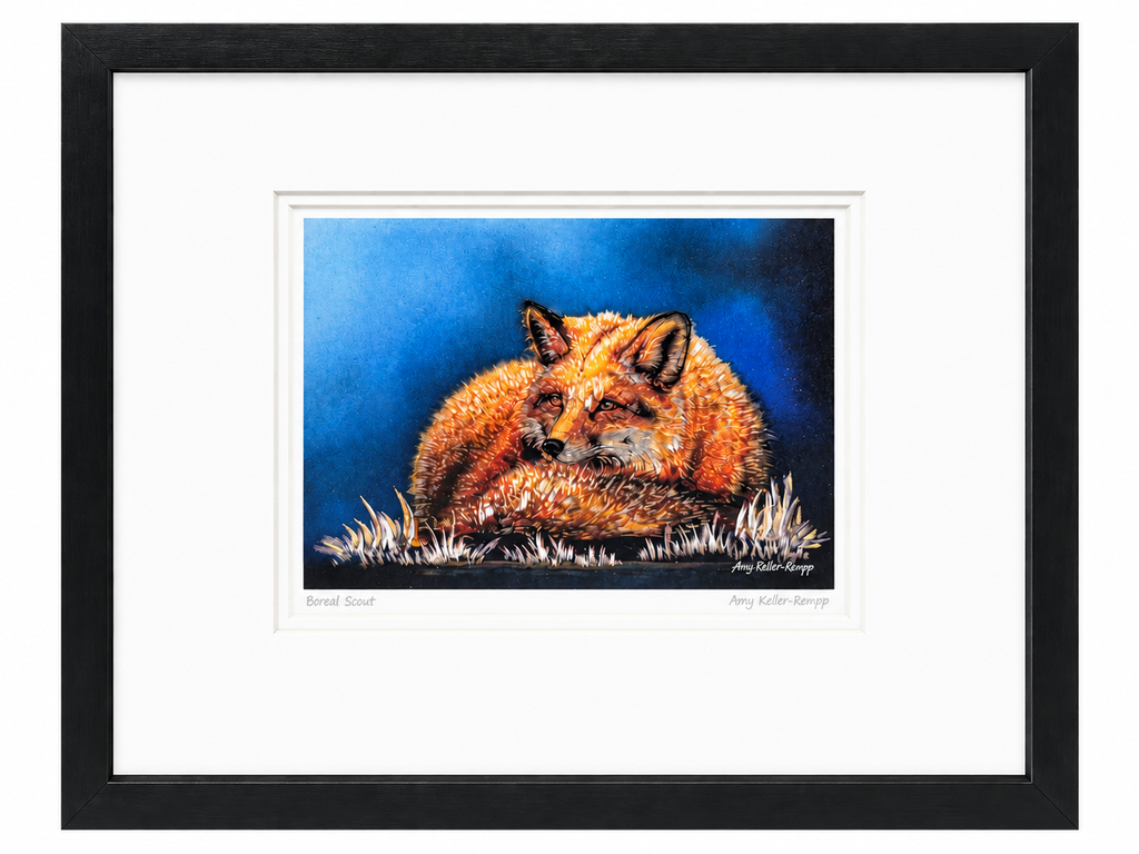 "Boreal Scout" - Amy Keller-Rempp