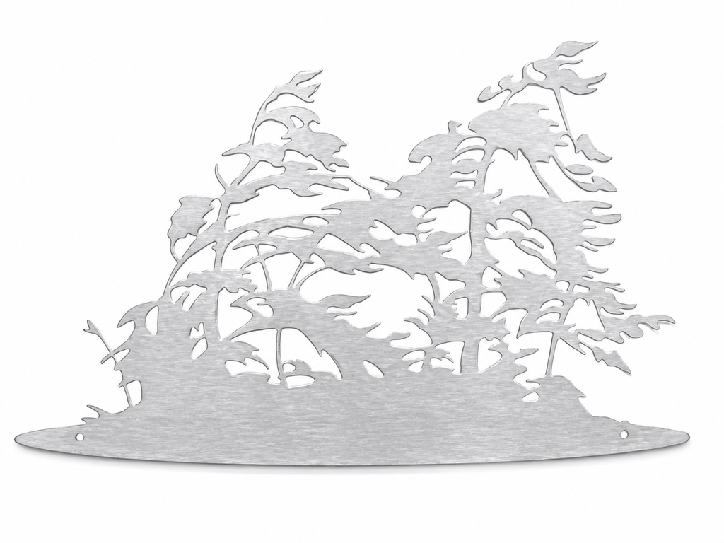 Georgian Bay Windswept Island - Standing