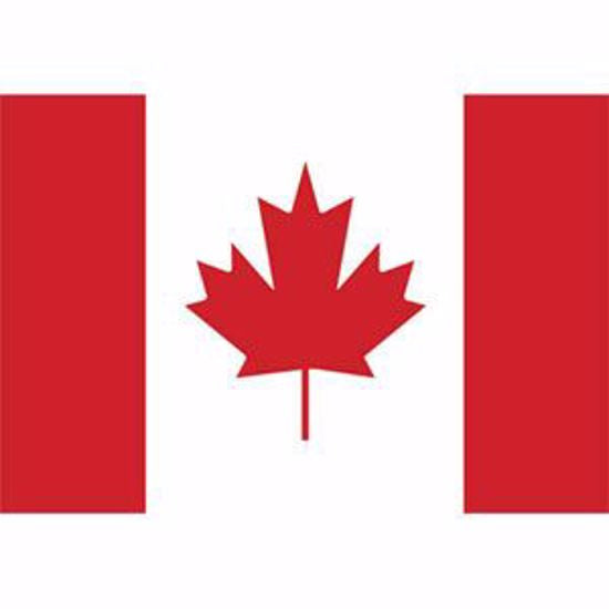 Canada Flag- Postcard