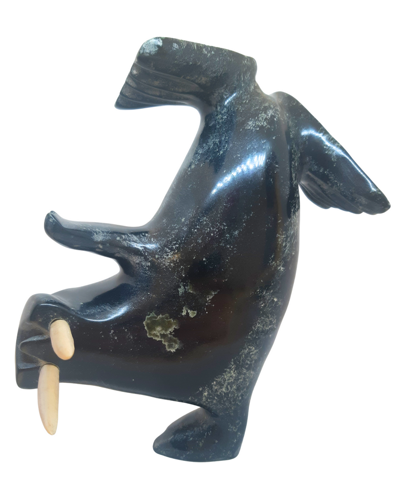 "Dancing Walrus" - Kelly Etidloie