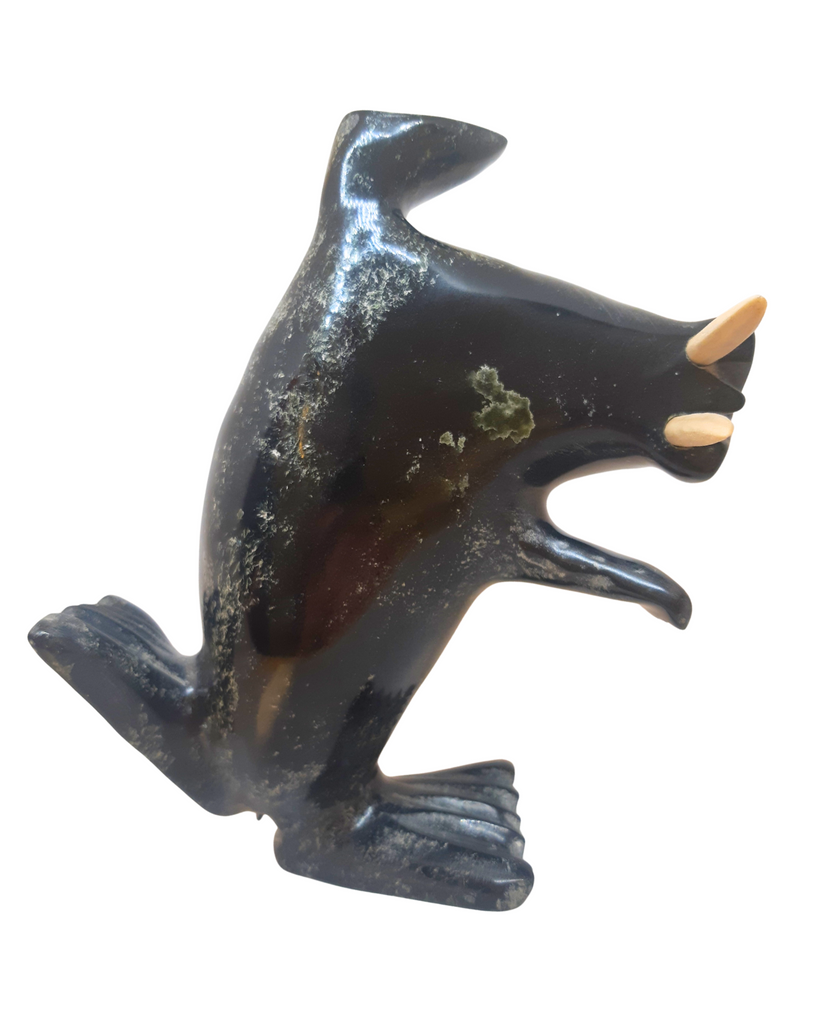"Dancing Walrus" - Kelly Etidloie