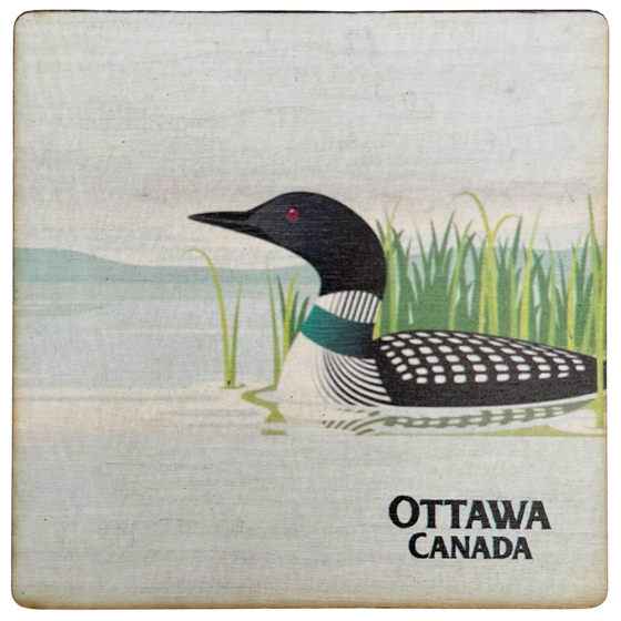 A square wooden coaster with a common loon swimming in the shallows of a misty lake. In the bottom right, the coaster reads "Ottawa Canada"