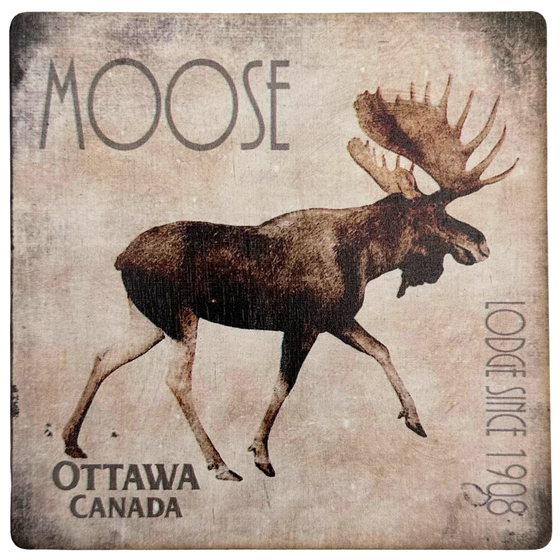 A square wooden coaster with a moose walking against a distressed wood background. The coasters says "Moose" in the top left, "Ottawa Canada" in the bottom left, and "Lodge since 1908" along the right side.