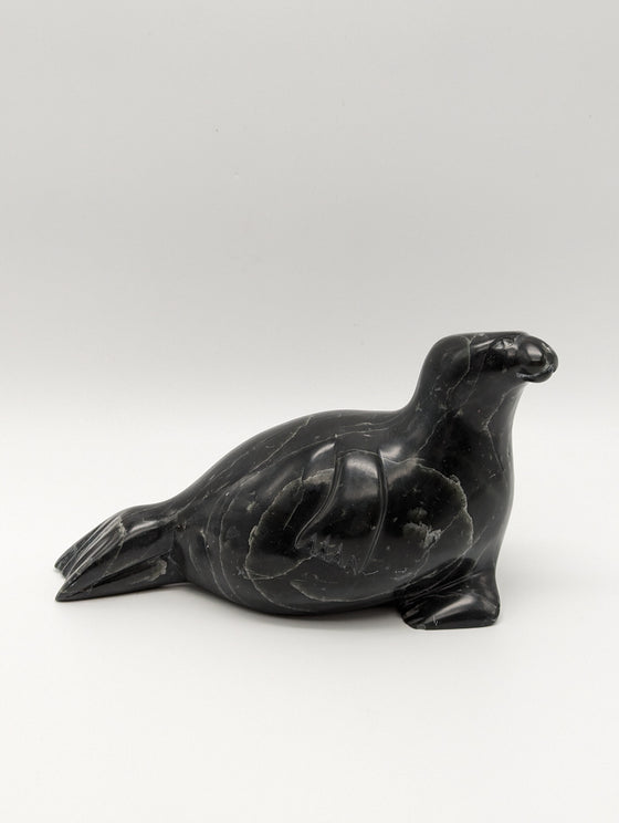 A black seal basks on its side with its head raised. This seal faces right.