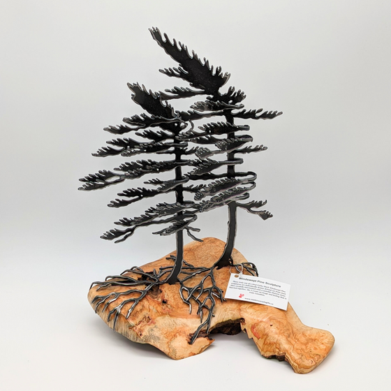 Cathy Mark - Wood Sculpture