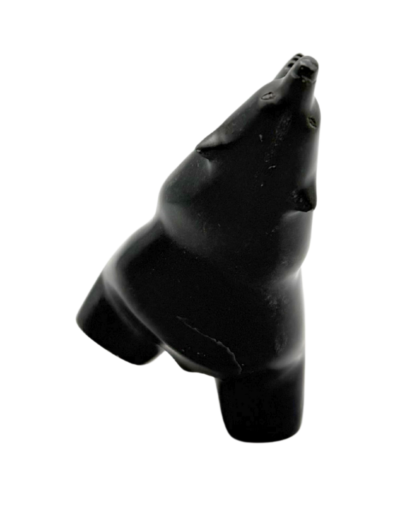 "Dancing Bear" - Killiktee Killiktee