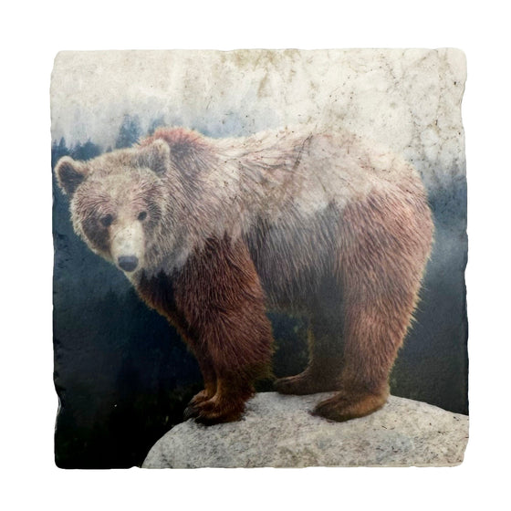 A beautifully handcrafted marble coaster features an image of the powerful Canadian grizzly bear in all its splendor in a misty forest.