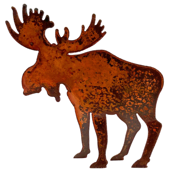 Weathered Moose