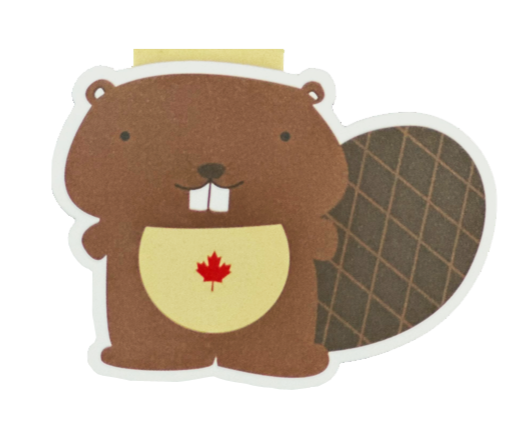 Beaver paper bookmark with magnets inside. The beaver is brown a with a light yellow stomach where there is a red maple leaf. Tail is on the side and is dark brown with light brown details. There are two black dots for eyes and has two white teeth in the front while smiling.