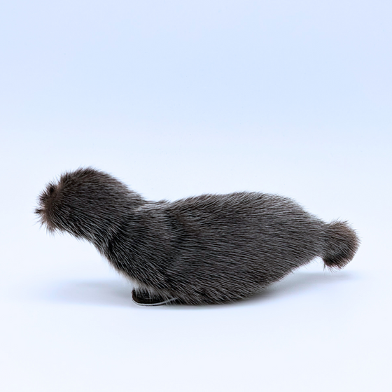 Sealskin Seal - Mary Ineak