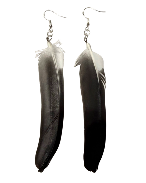 Ptarmigan Feather Earrings - Black & White