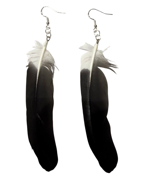 Ptarmigan Feather Earrings - Black & White