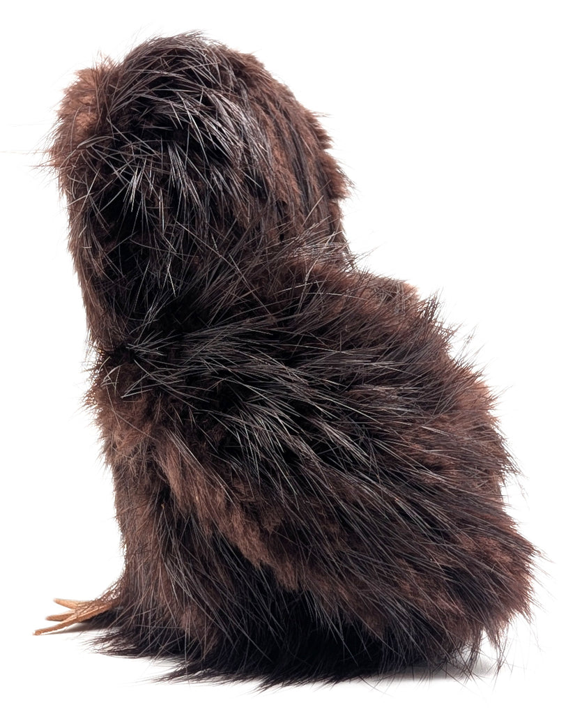 Brown Sealskin Ookpik (Owl) - Daisy Savard