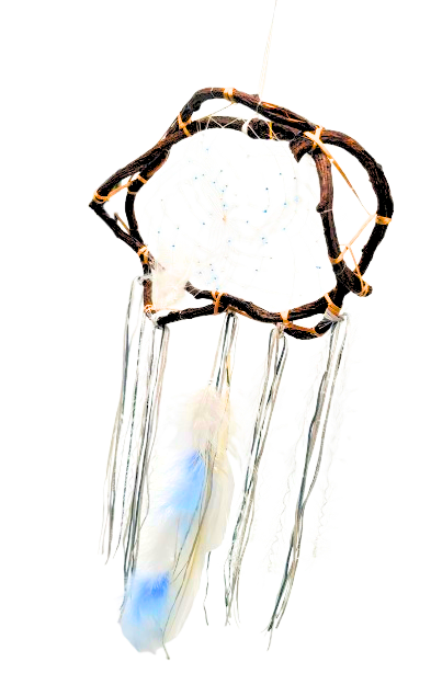 12" Dream Catcher - Season Twig Winter