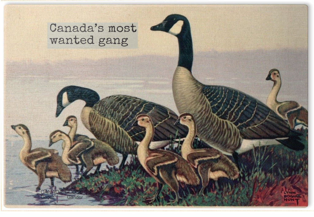 Goose Gang Magnet