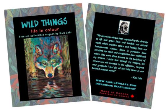 Magnet of Kari Lehr "Grey Wolf" art print. Print image is a wolf drinking water from a swamp. Magnet is on paper on with a colourful border and has "WILD THINGS" in blue on the front and a message from the artist on the back.