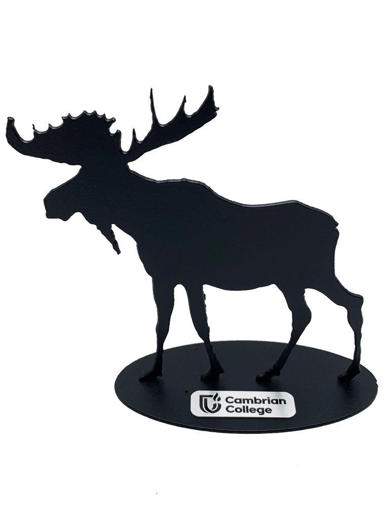 Metal Art Engraving Service