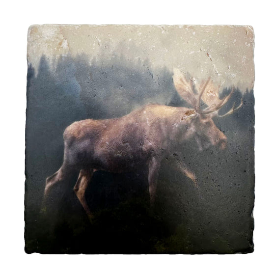 A beautifully handcrafted marble coaster featuring an image of the majestic Canadian moose in all its splendor in a misty forest.
