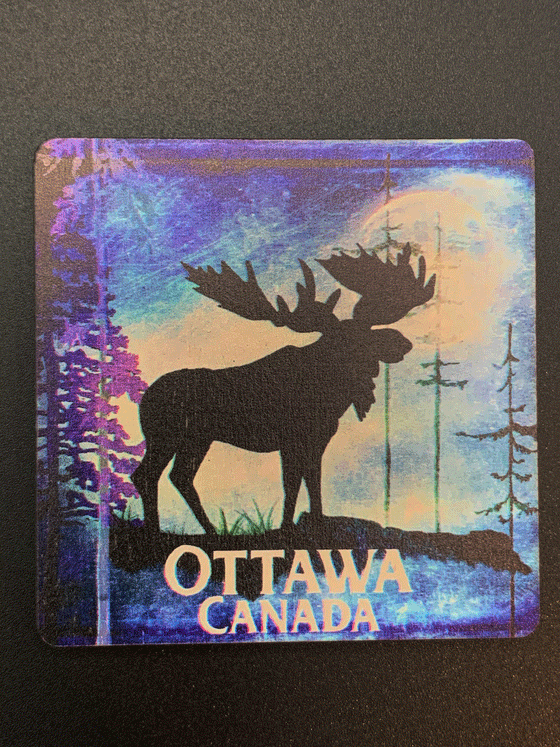 A square wooden magnet featuring a black moose standing against a blue, purple and white forest background. The words "Ottawa, Canada" are written in white below the moose.