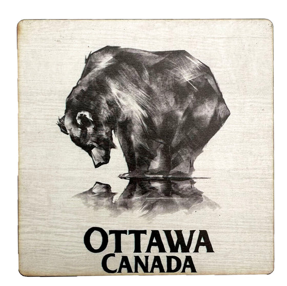 Set of 4 Ottawa Reflecting Bear Coasters with a bear staring down at his reflection against a white background and the words" Ottawa, Canada" written on the bottom.