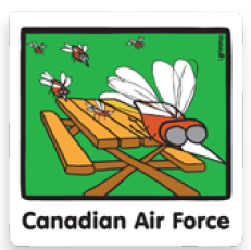 Canadian Air Force Magnet