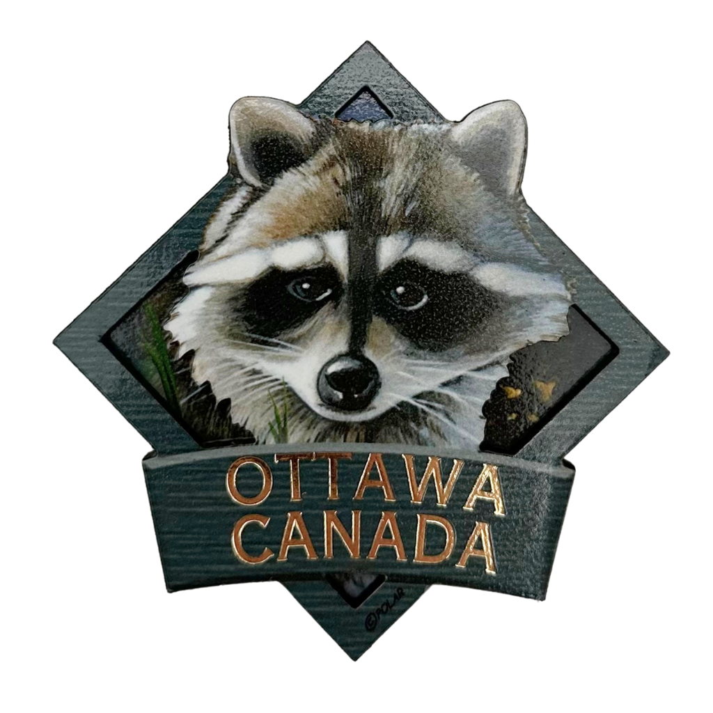 Ottawa Canada Racoon - Wooden Magnet