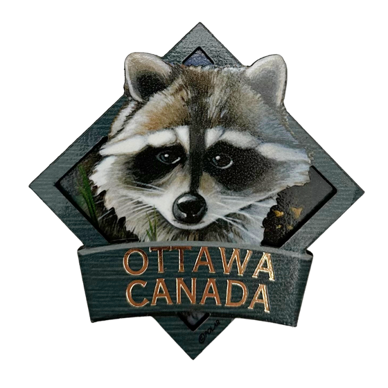Ottawa Canada Raccoon - Wooden Magnet