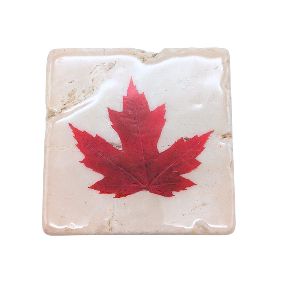 A White stone square coaster. There is a Red maple leaf in the middle of the coaster, and there is a shiny coat around it.