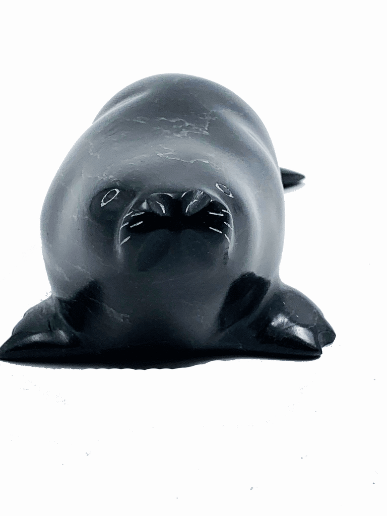 A black seal basks on its side. This seal is facing the viewer.