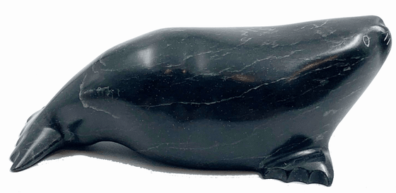 A black seal basks on its side. This seal is facing right.