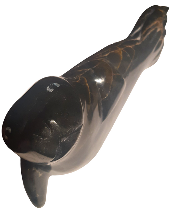 "Seal" - Mattiusi Alariaq