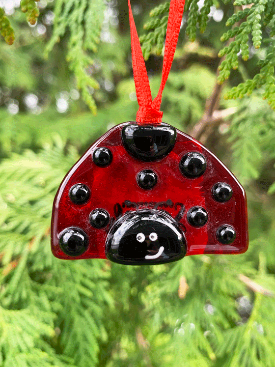 A cute ladybug ornament made from fused glass. This Canadian made piece is red with black spots, and has a cute and quirky smile.