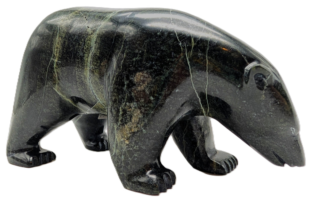 "Walking Bear" - Noah Jaw