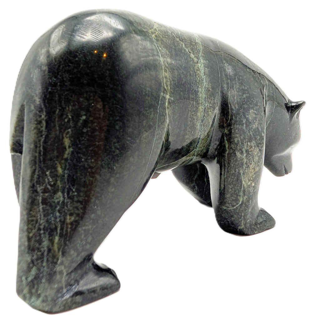 "Walking Bear" - Noah Jaw