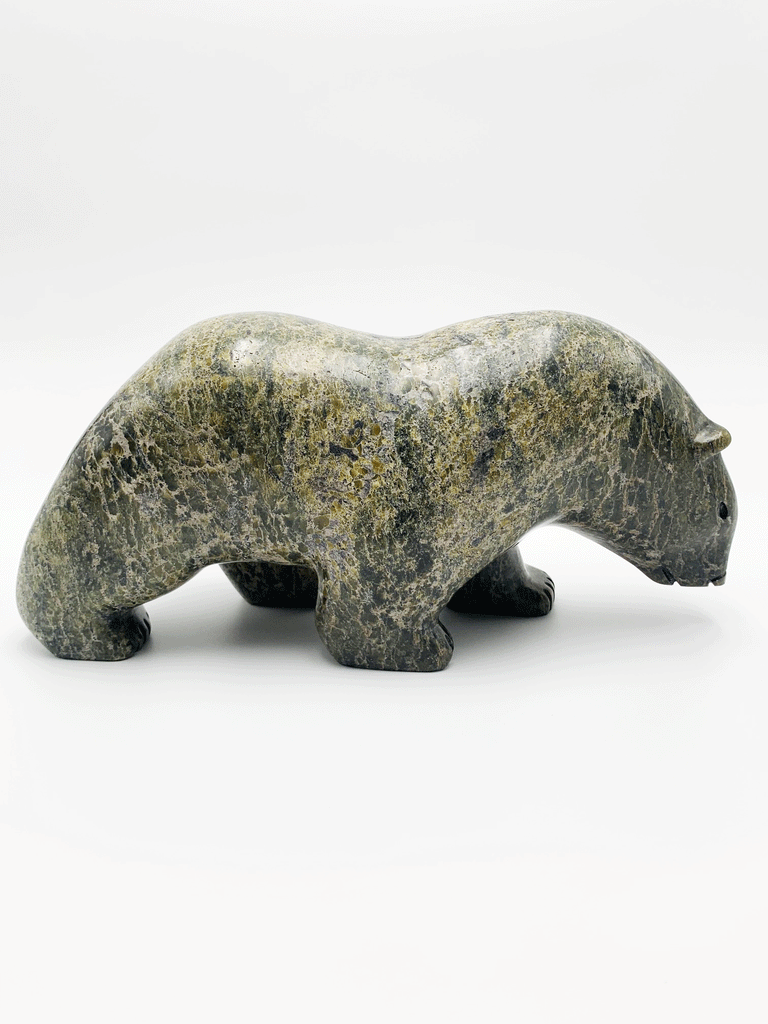 A walking bear stares ponderously at something on the ground ahead of it. This piece is carved from green and brown soapstone. The natural mottling of the stone complements the artist's smooth lines for an elegant and expressive piece. This bear faces right.