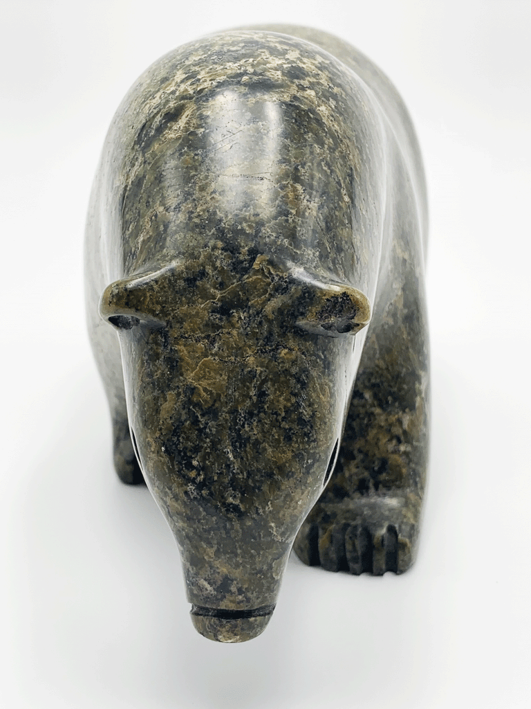 A walking bear stares ponderously at something on the ground ahead of it. This piece is carved from green and brown soapstone. The natural mottling of the stone complements the artist's smooth lines for an elegant and expressive piece. This bear faces the viewer.